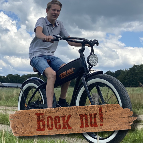 Geven atomair Tot ziens BeachCruiser Ootmarsum | Stoere elektrische fiets - Twente Toer